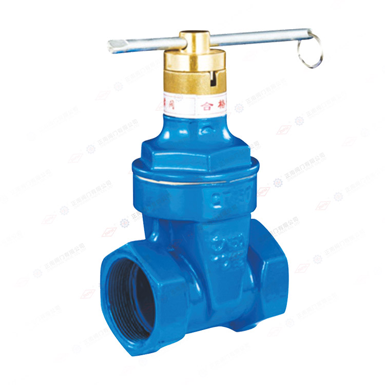 加密软密封闸阀