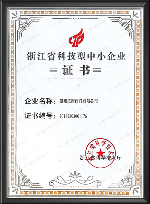 浙江省科技型中小企业证