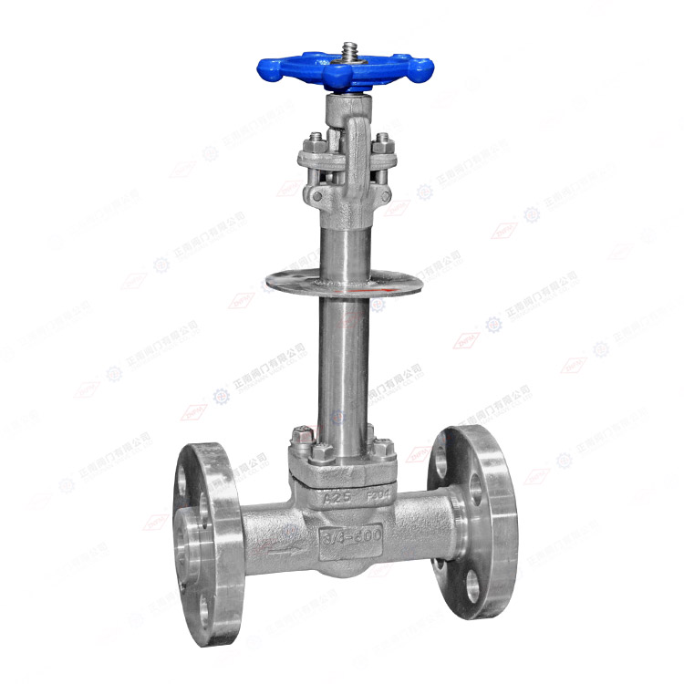 锻钢低温闸阀